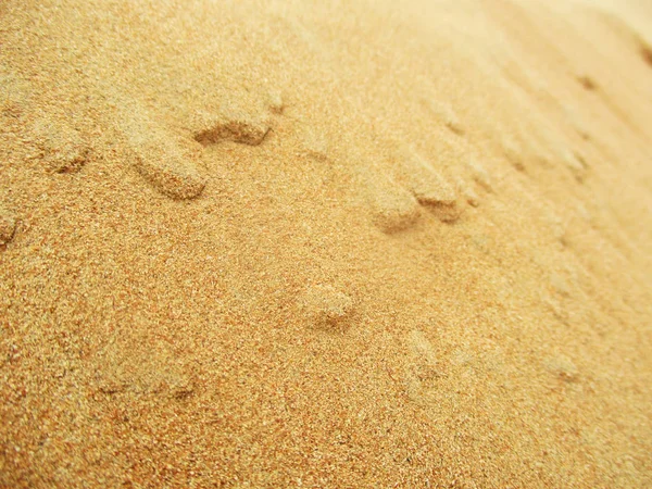 Dunes Sable Dans Désert Sahara — Photo