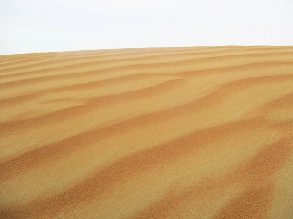 Sand Dunes Sahara Desert — Stock Photo, Image