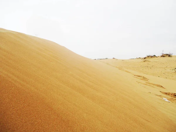 Dune Sabbia Nel Deserto Del Sahara — Foto Stock