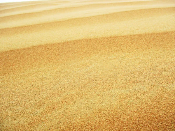 Dunes Sable Dans Désert Sahara — Photo