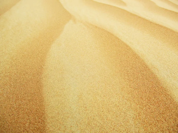 Dune Sabbia Nel Deserto Del Sahara — Foto Stock