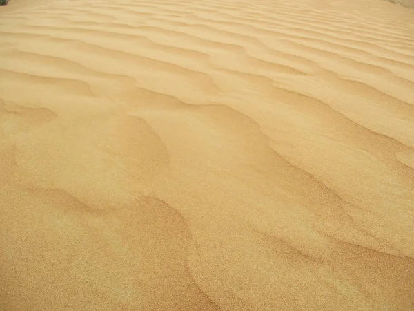 Sanddünen Der Wüste Sahara — Stockfoto