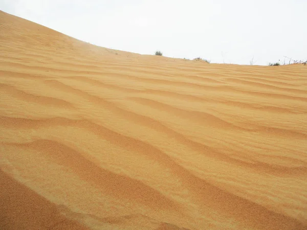 Sand Dunes Sahara Desert — Stock Photo, Image