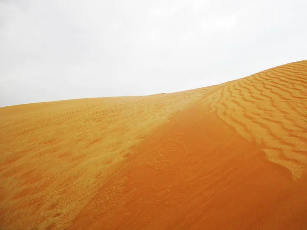 Zandduinen Saharawoestijn — Stockfoto