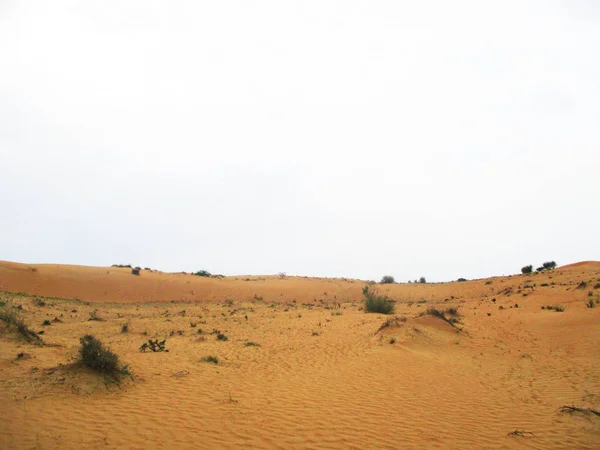 Písečné Duny Poušti Sahara — Stock fotografie