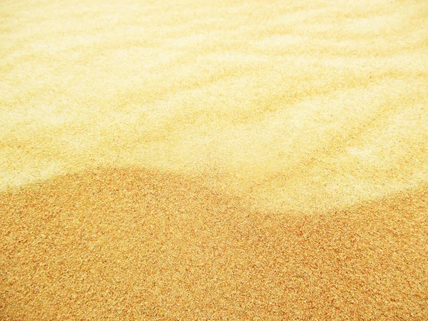 Dunas Areia Saara — Fotografia de Stock