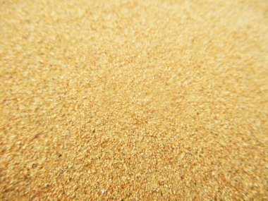 sahara çöl kumulları