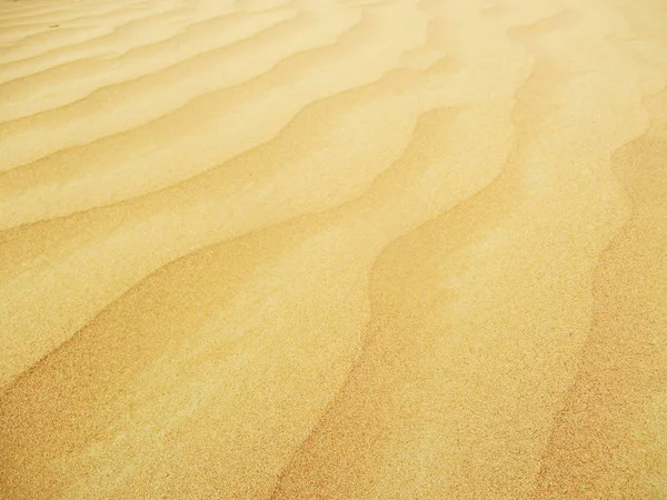 Sanddynor Saharaöknen — Stockfoto