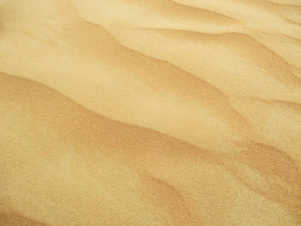 Sanddünen Der Wüste Sahara — Stockfoto