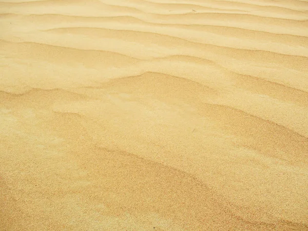 Dunes Sable Dans Désert Sahara — Photo