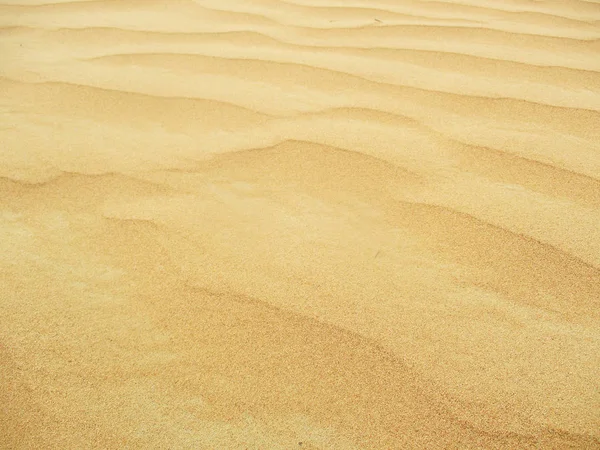 Dunas Areia Saara — Fotografia de Stock