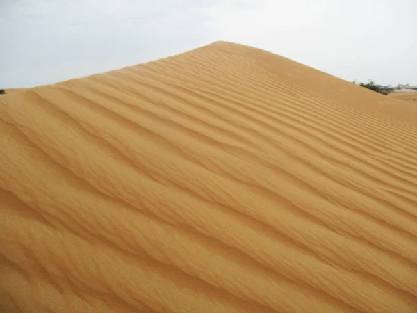 Písečné Duny Poušti Sahara — Stock fotografie