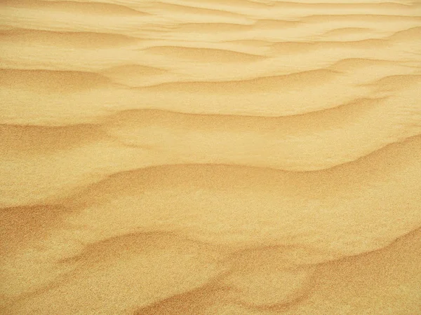 Sand Dunes Sahara Desert — Stock Photo, Image