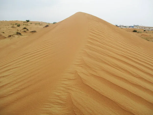 Αμμοθίνες Στην Έρημο Σαχάρα — Φωτογραφία Αρχείου