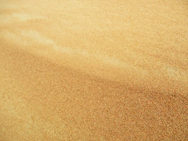 Sanddynor Saharaöknen — Stockfoto