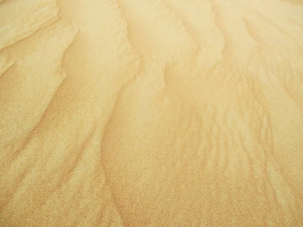 Sahara Çöl Kumulları — Stok fotoğraf