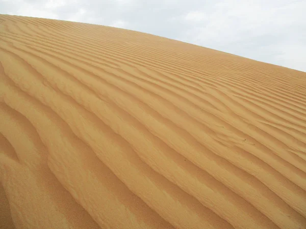 Zandduinen Saharawoestijn — Stockfoto