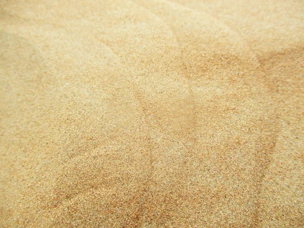 Dunes Sable Dans Désert Sahara — Photo