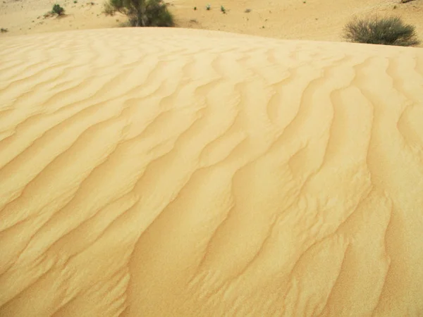 Sanddünen Der Wüste Sahara — Stockfoto