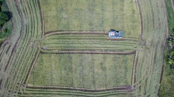 农户收割季节与联合收割机 拖拉机相结合的稻田种植模式 泰国乡村鸟瞰图 — 图库照片