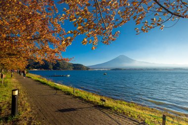 Fuji Dağı Gölü Kawaguchiko baharat Japonya sonbaharda görüntülendi.