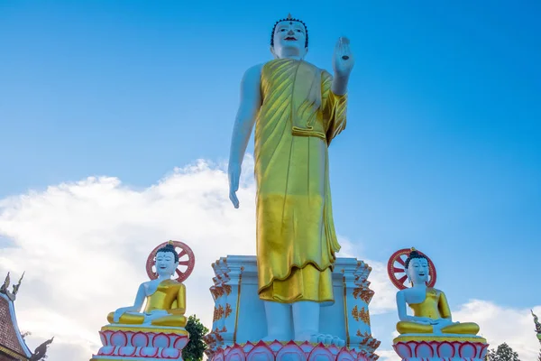 Pagoda Stupa Wat Pratatdoikham Tapınak Adı Chiangmai Tayland Dua Ibadet — Stok fotoğraf