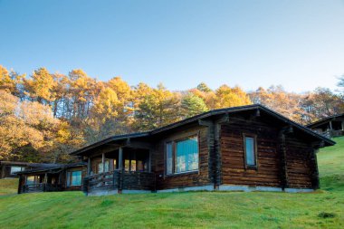 Yeşillik ile Japonya ağaçlarda sonbahar yaprakları düşer. Karuizawa dağ tatil beldesi ise bir alışveriş caddesi ili Nagano, Japonya