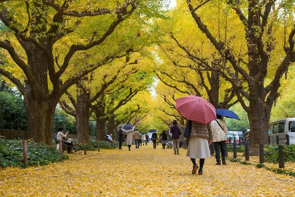 Avenida Rua Ginkgo Meiji Jingu Gaien Park Meiji Jingu Gaien — Fotografia de Stock