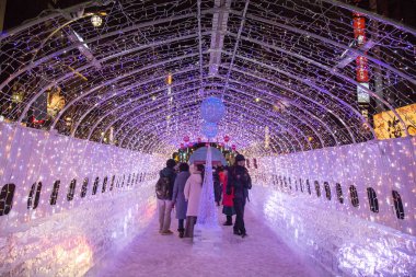 Susukino Park, Sapporo, Hokkaido Japonya - Şubat 2018: Sapporo kar Festivali heykel buz. Buz Festivali Sapporo Susukino bölgede bir yılda bir düzenleniyor.