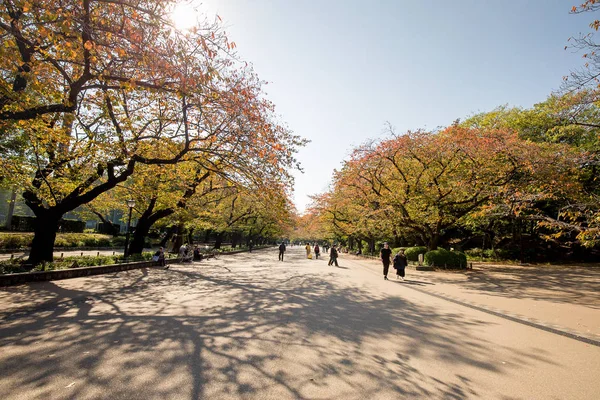Ueno Park Tokyo Japonya Ile Topluluk Insanlar Yürürken Insanlar Sonbaharın — Stok fotoğraf