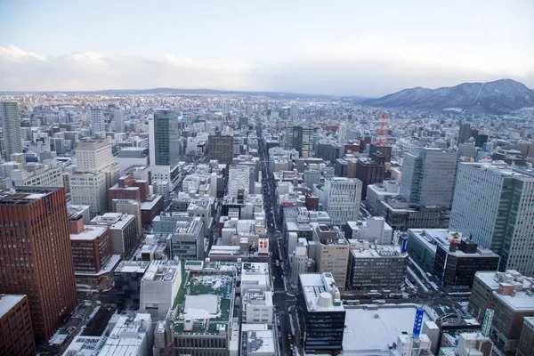 Sapporo Cityscape Urban Landscape Top Building Tower Observation Deck T38 — Stock Photo, Image