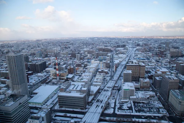 Sapporo Cityscape Urban Landscape Top Building Tower Observation Deck T38 — Stock Photo, Image