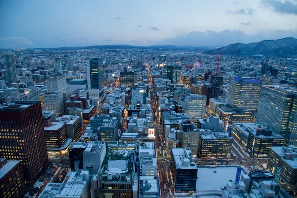 Sapporo Cityscape Urban Landscape Top Building Tower Observation Deck T38 — Stock Photo, Image