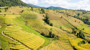 En güzel pirinç terasları pirinç terasları yuvarlanan küçük hamlet, Ban Pa Pong Piang isim ve Doi Inthanon Milli Parkı Chiangmai, Tayland (yükseklik görünümden dağlarında yuvalanmış)