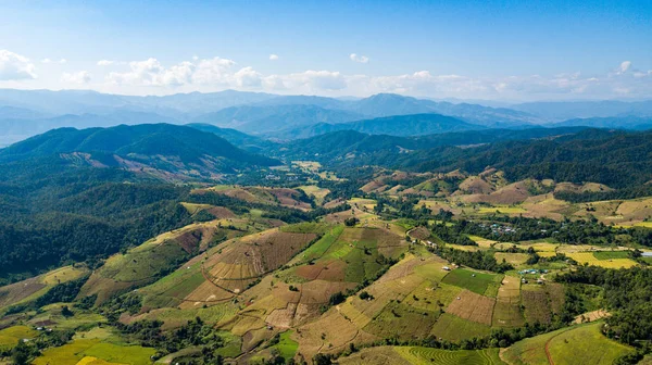 The most beautiful rice terraces at little hamlet of rolling rice terraces name Ban Pa Pong Piang and nestled in the mountains of Doi Inthanon national park in Chiangmai, Thailand (from hight view)