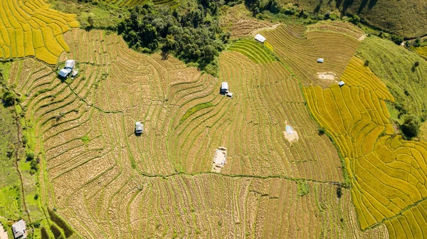 泰国清迈的 Doi Inthanon 国家公园山区 最美丽的水稻梯田 Ban Pong Pong Piang Doi — 图库照片