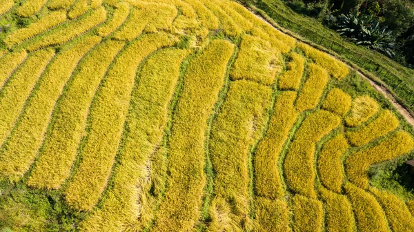 Las Terrazas Arroz Más Bellas Pequeña Aldea Terrazas Arroz Balanceadas — Foto de Stock