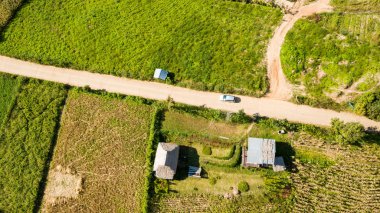 El ile pirinç hamlet adı Ban Pa Pong Piang, Chiang Mai, Tayland harman tarafından geleneksel yolu ile pirinç çiftlik famers hasat