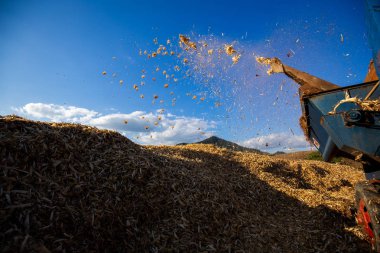 Taşıma geleneksel yaz akşam kuzeyinde Tayland sahada Mısır hasat işleç birleştirmek