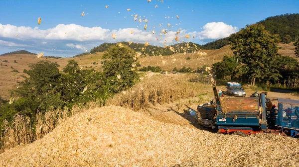 Transporte Maíz Cosecha Combinada Tradicional Campo Noche Verano Norte Tailandia — Foto de Stock