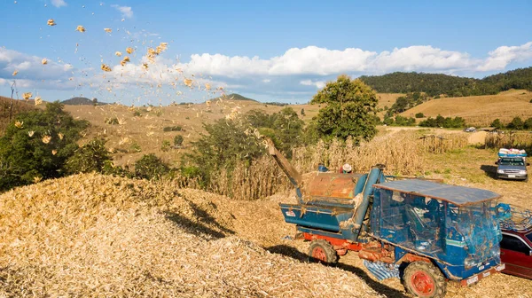 Transporte Maíz Cosecha Combinada Tradicional Campo Noche Verano Norte Tailandia — Foto de Stock