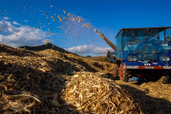 Transport Traditional Combine Operator Harvesting Corn Field Summer Evening North — Stock Photo, Image