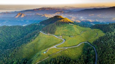 Sunrise manzara doğa Meksika ayçiçeği alana göre altın Dağı'nın adı Tung Bua Tong Maehongson (Mae Hong Son), yıllık Kasım Tayland içinde