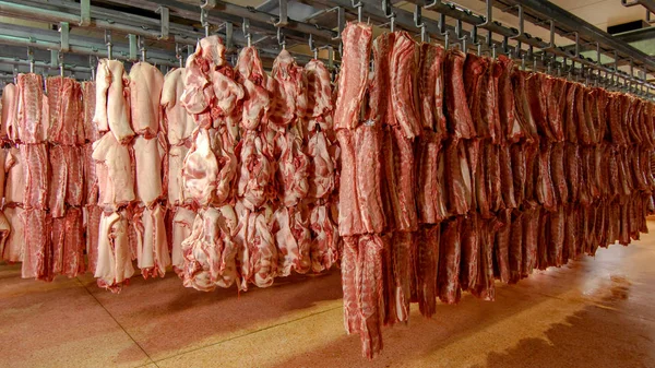 Koelkast Varkensvlees Vlees Opslag Slachthuis Varkens Business — Stockfoto