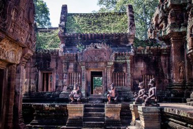 10. yüzyılın binalarını süsleyen ve Hindu tanrısı Shiva 'ya adanmış Angkor Kompleksi, Asya' daki Banteay Srei Tapınağı (Ban Tai Srei Tapınağı).