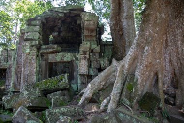 Ta Prohm Angkor Wat Kamboçya. Ta Prohm antik Tapınağı Angkor Wat, Kamboçya nerede orman ağaç köklerinin gerçeküstü dünya üreten bu antik yapıların Duvar ile iç içe.
