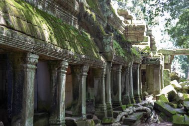 Ta Prohm Angkor Wat Kamboçya. Ta Prohm antik Tapınağı Angkor Wat, Kamboçya nerede orman ağaç köklerinin gerçeküstü dünya üreten bu antik yapıların Duvar ile iç içe.