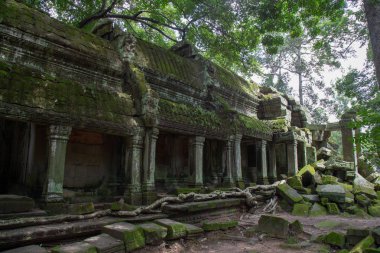 Ta Prohm Angkor Wat Kamboçya. Ta Prohm antik Tapınağı Angkor Wat, Kamboçya nerede orman ağaç köklerinin gerçeküstü dünya üreten bu antik yapıların Duvar ile iç içe.