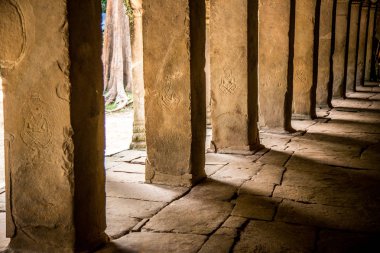 Ta Prohm Angkor Wat Kamboçya. Ta Prohm antik Tapınağı Angkor Wat, Kamboçya nerede orman ağaç köklerinin gerçeküstü dünya üreten bu antik yapıların Duvar ile iç içe.