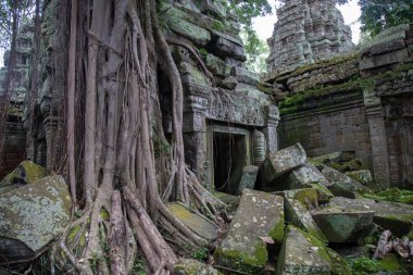 Ta Prohm Angkor Wat Kamboçya. Ta Prohm antik Tapınağı Angkor Wat, Kamboçya nerede orman ağaç köklerinin gerçeküstü dünya üreten bu antik yapıların Duvar ile iç içe.